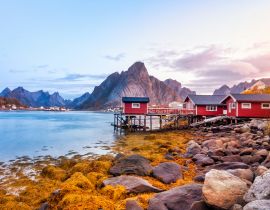 Lais Puzzle - Schöne Aussicht auf den Hafen von Reine auf den Lofoten, Norwegen - 40, 100, 200, 500, 1.000 & 2.000 Teile