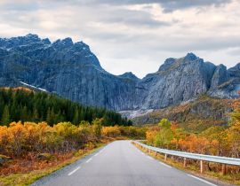 Lais Puzzle - Straße in Norwegen, Lofoten-Inseln, goldener Herbst an der Felswand der Berge - 40, 100, 200, 500, 1.000 & 2.000 Teile