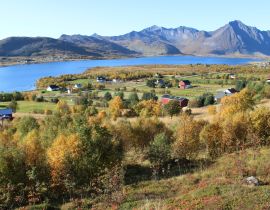Lais Puzzle - Die wunderschönen Fjorde der Lofoten in Nordnorwegen - 40, 100, 200, 500, 1.000 & 2.000 Teile