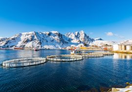 Lais Puzzle - Kleiner Fischereihafen von Ballstad, Lofoten, Norwegen - 1.000 Teile