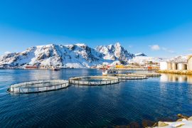 Lais Puzzle - Kleiner Fischereihafen von Ballstad, Lofoten, Norwegen - 2.000 Teile