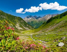 Lais Puzzle - Schöne sommerliche Berglandschaft in den Stubaier Alpen bei der Neuen Regensburger Hütte, Österreich - 40, 100, 200, 500, 1.000 & 2.000 Teile