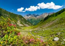 Lais Puzzle - Schöne sommerliche Berglandschaft in den Stubaier Alpen bei der Neuen Regensburger Hütte, Österreich - 1.000 Teile