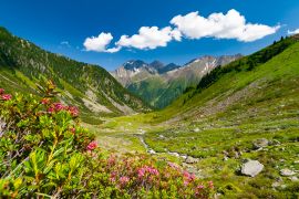 Lais Puzzle - Schöne sommerliche Berglandschaft in den Stubaier Alpen bei der Neuen Regensburger Hütte, Österreich - 2.000 Teile
