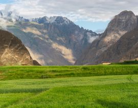 Lais Puzzle - Reisfeld in der Sommersaison im Dorf Askole auf der K2-Basislager-Trekkingroute im Karakorum-Gebirge, Gilgit Baltistan, Pakistan - 40, 100, 200, 500, 1.000 & 2.000 Teile