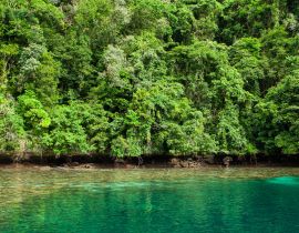 Lais Puzzle - Tropisches Korallenriff mit Mangroven in Palau - 40, 100, 200, 500, 1.000 & 2.000 Teile