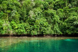 Lais Puzzle - Tropisches Korallenriff mit Mangroven in Palau - 2.000 Teile