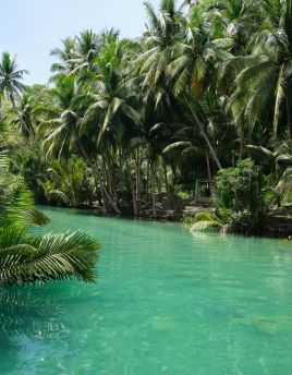 Lais Puzzle - Blick auf den wunderschönen Dschungel entlang eines Flusses in der Nähe der Kawasan Falls, Cebu, Philippinen - 40, 100, 200, 500, 1.000 & 2.000 Teile
