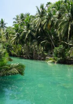 Lais Puzzle - Blick auf den wunderschönen Dschungel entlang eines Flusses in der Nähe der Kawasan Falls, Cebu, Philippinen - 1.000 Teile