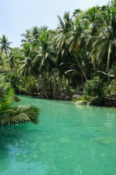 Lais Puzzle - Blick auf den wunderschönen Dschungel entlang eines Flusses in der Nähe der Kawasan Falls, Cebu, Philippinen - 2.000 Teile