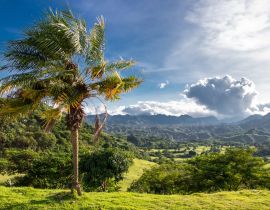 Lais Puzzle - Palme auf grünem Hügel mit Blick auf tropische Wälder und zerklüftete Berge außerhalb von Clark, Philippinen - Pampanga, Luzon, Philippinen - 40, 100, 200, 500, 1.000 & 2.000 Teile