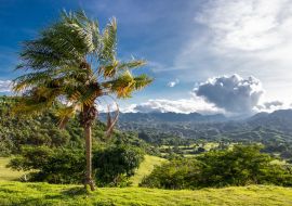 Lais Puzzle - Palme auf grünem Hügel mit Blick auf tropische Wälder und zerklüftete Berge außerhalb von Clark, Philippinen - Pampanga, Luzon, Philippinen - 1.000 Teile