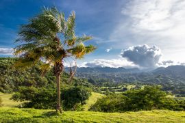 Lais Puzzle - Palme auf grünem Hügel mit Blick auf tropische Wälder und zerklüftete Berge außerhalb von Clark, Philippinen - Pampanga, Luzon, Philippinen - 2.000 Teile