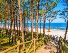 Lais Puzzle - Pfad im Wald zum schönen Strand im Küstendorf Lubiatowo, Ostsee, Polen - 40, 100, 200, 500, 1.000 & 2.000 Teile