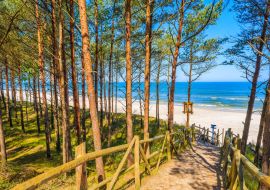 Lais Puzzle - Pfad im Wald zum schönen Strand im Küstendorf Lubiatowo, Ostsee, Polen - 1.000 Teile