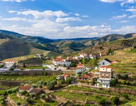Lais Puzzle - Landschaft der Douro-Flussregion in Portugal - Weinberge - 40, 100, 200, 500, 1.000 & 2.000 Teile
