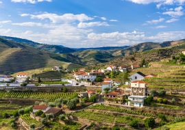 Lais Puzzle - Landschaft der Douro-Flussregion in Portugal - Weinberge - 1.000 Teile