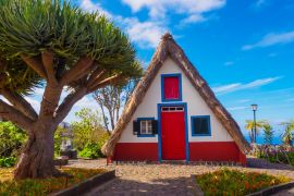 Lais Puzzle - Traditionelle alte Hütte und tropischer Baum im Dorf Santana, Insel Madeira, Portugal - 2.000 Teile