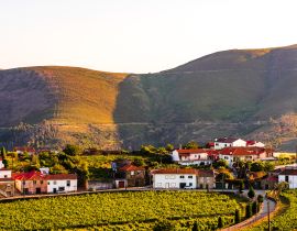 Lais Puzzle - Blick auf einen Weinberg im Dorf Provesende in der Region Douro-Tal, Portugal - 40, 100, 200, 500, 1.000 & 2.000 Teile