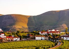 Lais Puzzle - Blick auf einen Weinberg im Dorf Provesende in der Region Douro-Tal, Portugal - 1.000 Teile