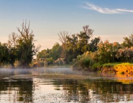 Lais Puzzle - Morgenstimmung im Donaudelta, Rumänien - 40, 100, 200, 500, 1.000 & 2.000 Teile