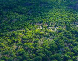 Lais Puzzle - Kasanka-Nationalpark, Serenje, Zentralprovinz, Sambia, Afrika - 40, 100, 200, 500, 1.000 & 2.000 Teile