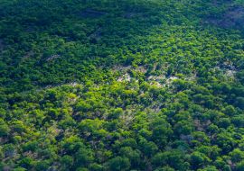 Lais Puzzle - Kasanka-Nationalpark, Serenje, Zentralprovinz, Sambia, Afrika - 1.000 Teile