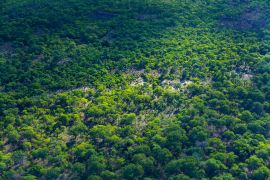 Lais Puzzle - Kasanka-Nationalpark, Serenje, Zentralprovinz, Sambia, Afrika - 2.000 Teile