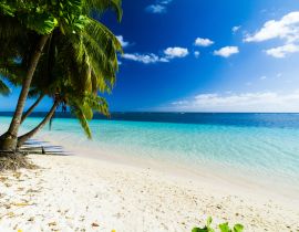 Lais Puzzle - Palmen Ozean Strand Samoa - 40, 100, 200, 500, 1.000 & 2.000 Teile