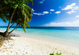 Lais Puzzle - Palmen Ozean Strand Samoa - 1.000 Teile