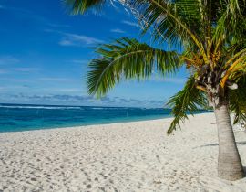 Lais Puzzle - Falealupo Beach umgeben von Palmen und Meer unter blauem Himmel in Samoa - 40, 100, 200, 500, 1.000 & 2.000 Teile