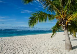 Lais Puzzle - Falealupo Beach umgeben von Palmen und Meer unter blauem Himmel in Samoa - 1.000 Teile