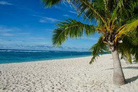 Lais Puzzle - Falealupo Beach umgeben von Palmen und Meer unter blauem Himmel in Samoa - 2.000 Teile