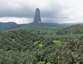 Lais Puzzle - Gipfel des Cao Grande, Sao Tome und Principe, Afrika - 40, 100, 200, 500, 1.000 & 2.000 Teile