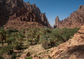 Lais Puzzle - Fels- und Oasenlandschaft im Wadi Disah in der Region Tabuk, Saudi-Arabien - 1.000 Teile
