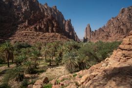 Lais Puzzle - Fels- und Oasenlandschaft im Wadi Disah in der Region Tabuk, Saudi-Arabien - 2.000 Teile