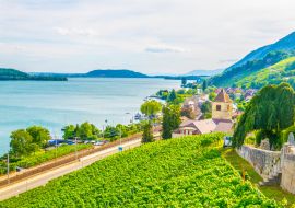 Lais Puzzle - Das Dorf Twann-Tüscherz am Bielersee in der Nähe von Biel/Bienne in der Schweiz - 1.000 Teile