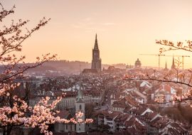 Lais Puzzle - Sonnenuntergang während Kirschblüte in Bern mit Berner Münster und Altstadt - 1.000 Teile
