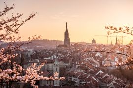 Lais Puzzle - Sonnenuntergang während Kirschblüte in Bern mit Berner Münster und Altstadt - 2.000 Teile
