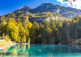 Lais Puzzle - Naturpark Blausee in Kandersteg, Schweiz, Herbstfärbung mit klarem Wasser - 1.000 Teile