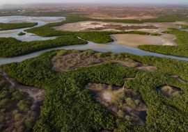 Lais Puzzle - Luftbild vom Somone Delta mit Mangroven und Wattbereichen im Senegal - 1.000 Teile