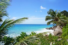 Lais Puzzle - Schöner Palmenstrand auf der tropischen Insel der Seychellen. Weißer Sandstrand mit Bäumen am Ufer des Indischen Ozeans. Paradiesischer, abgelegener Strand in der Sommersaison - 2.000 Teile