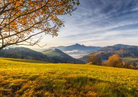 Lais Puzzle - Baum im Vordergrund einer Herbstlandschaft mit Bergen bei Sonnenaufgang. Mala-Fatra-Nationalpark, unweit des Dorfes Terchova in der Slowakei - 1.000 Teile