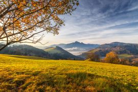 Lais Puzzle - Baum im Vordergrund einer Herbstlandschaft mit Bergen bei Sonnenaufgang. Mala-Fatra-Nationalpark, unweit des Dorfes Terchova in der Slowakei - 2.000 Teile