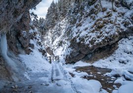 Lais Puzzle - Verschneite Winterlandschaft mit einer Holzbrücke auf einem Wanderweg durch eine enge Schlucht mit Wildbach. Der Nationalpark Mala Fatra in der Slowakei - 1.000 Teile