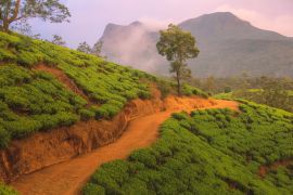 Lais Puzzle - Landschaftliche Ansicht des srilankischen Hügellandes und der terrassierten Teeplantage im Dorf Nuwara Eliya, Sri Lanka, mit einem dramatischen, farbenfrohen Sonnenuntergang oder Sonnenaufgang am Himmel - 2.000 Teile