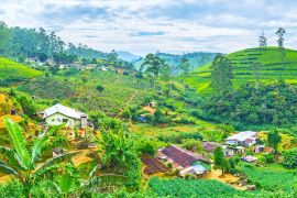 Lais Puzzle - Das Farmland in den srilankischen Bergen in Pusselawa - 2.000 Teile