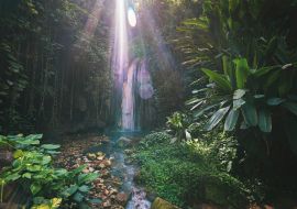 Lais Puzzle - Tropischer Diamant-Wasserfall auf einer Karibikinsel mit Sonnenlicht, St. Lucia - 1.000 Teile
