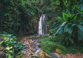 Lais Puzzle - Tropischer Diamant-Wasserfall auf der Karibikinsel, St. Lucia - 1.000 Teile