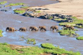 Lais Puzzle - Elefant beim Überqueren des Olifant-Flusses im Krüger-Nationalpark in Südafrika - 2.000 Teile